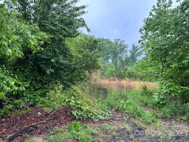 a view of a lake view with a garden