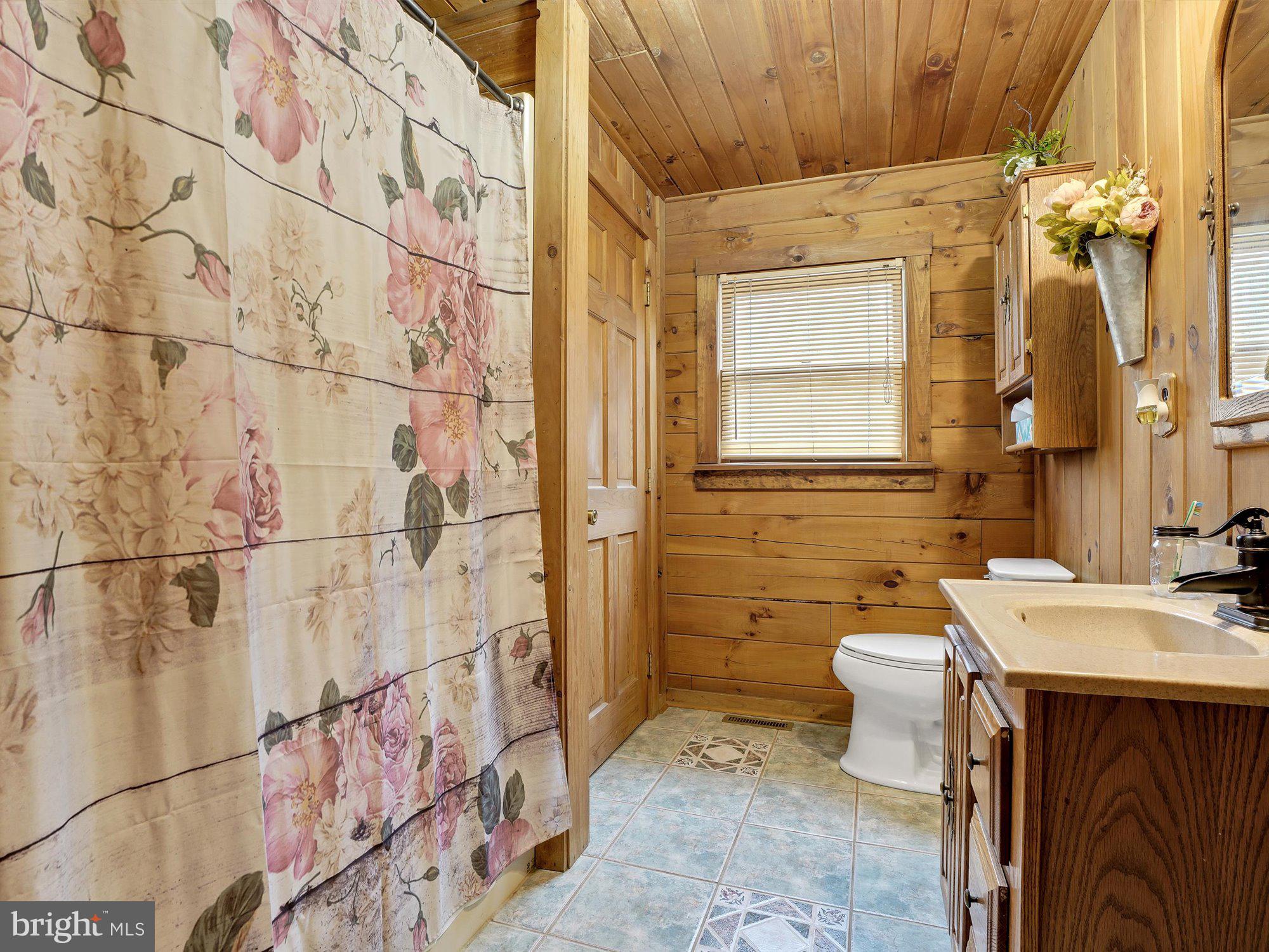1678 Pisgah State Road Shermans Dale, PA 17090 - Photo 18 of 34 1st floor full bath w/jetted tub.