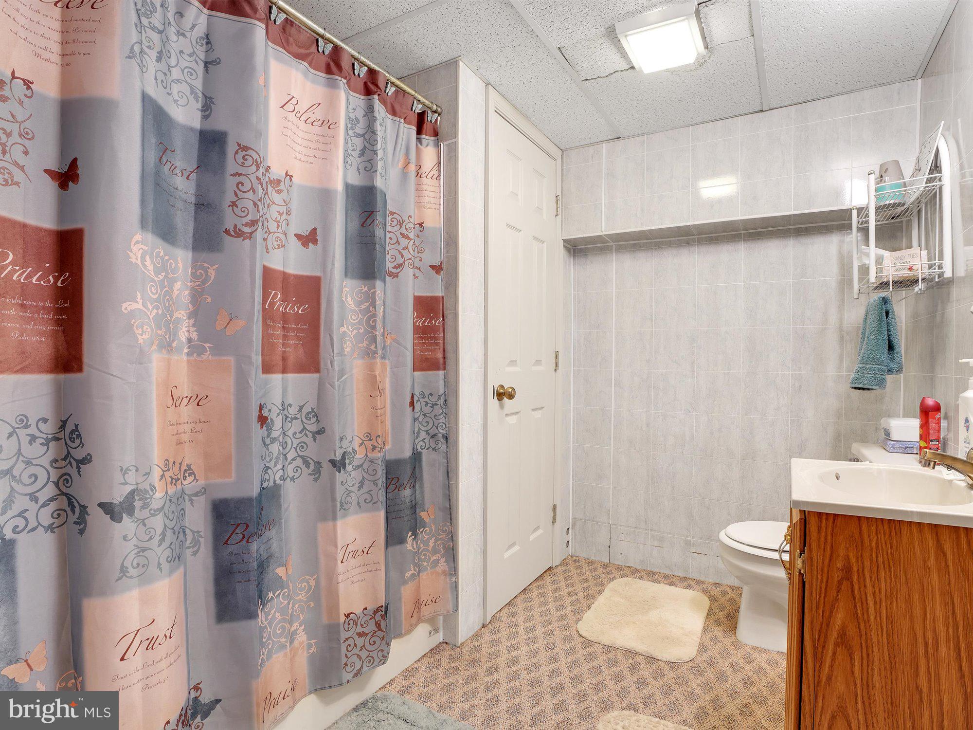 1678 Pisgah State Road Shermans Dale, PA 17090 - Photo 29 of 34 Full bath in the basement.