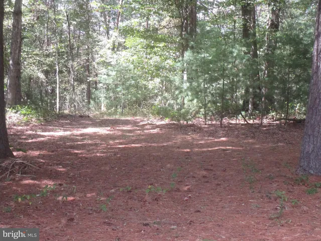 a view of a yard with wooden fence