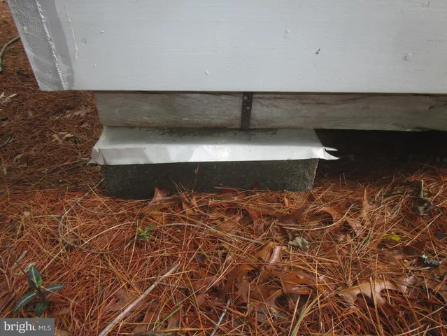 a view of front door and yard