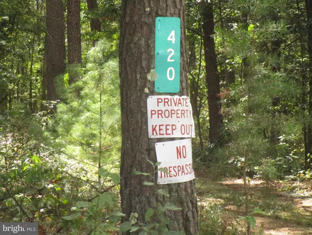 a view of a large yard with lots of green space