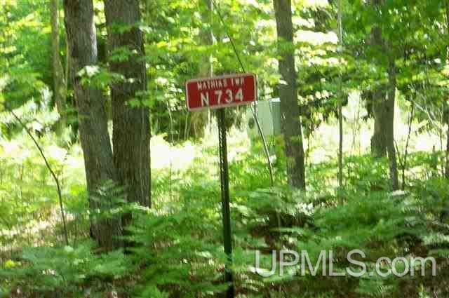 E734 Stella Lake Road Rapid River, MI 49864 - Photo 6 of 13