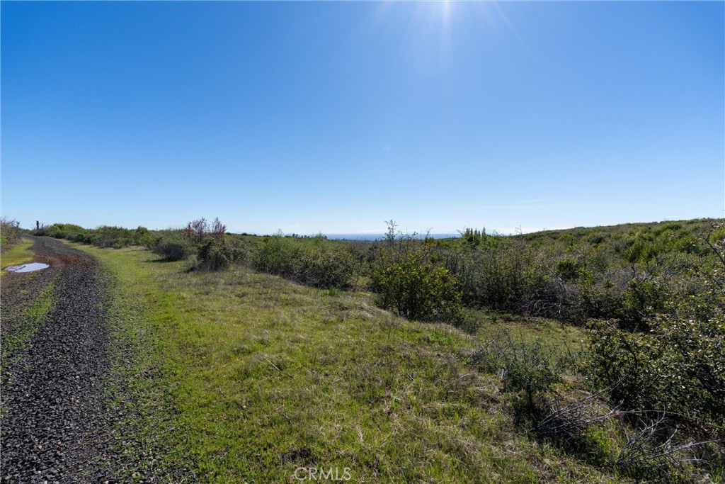 0 Doe Mill Road Chico, CA 95928 - Photo 48 of 62 a view of a forest with trees in the background