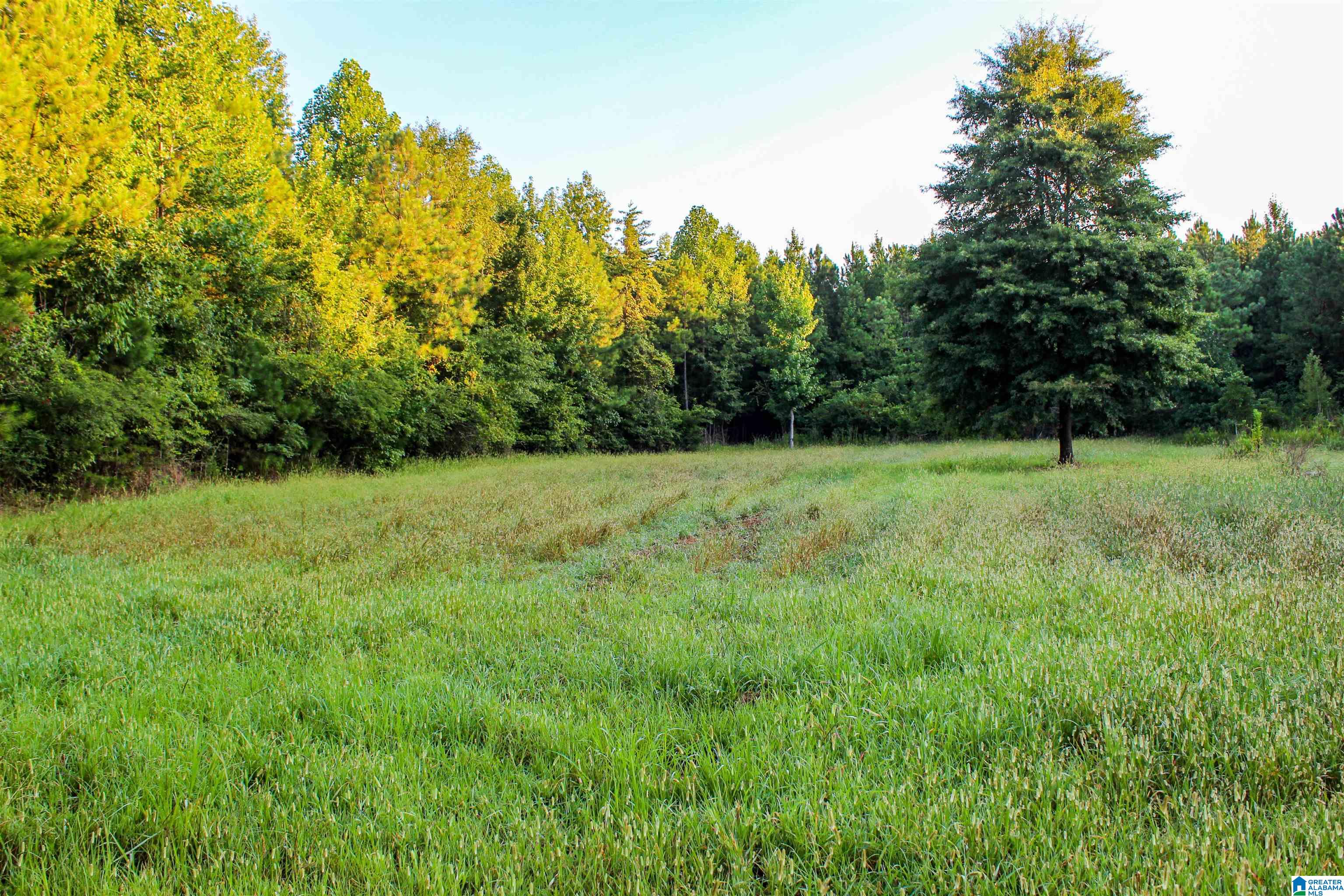 Bonner Drive, Unit 1 Berry, AL 35546 - Photo 6 of 56