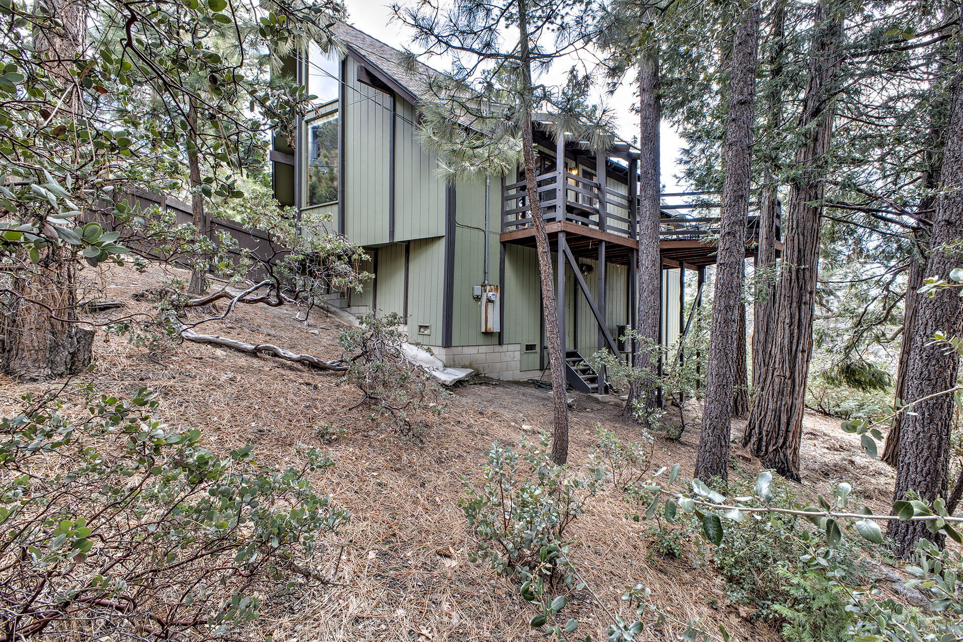 25105 Cougar Road Idyllwild, CA 92549 - Photo 42 of 48 IMG_0613