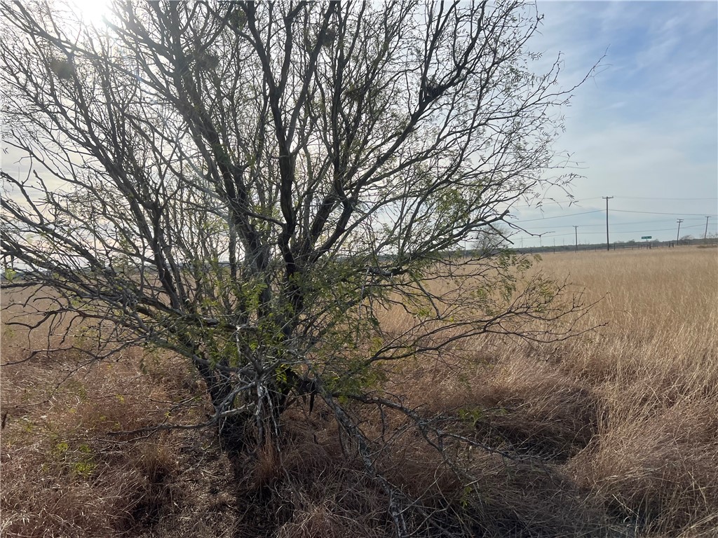 8051 Fm 1068 Mathis, TX 78368 - Photo 11 of 30 a view of an ocean