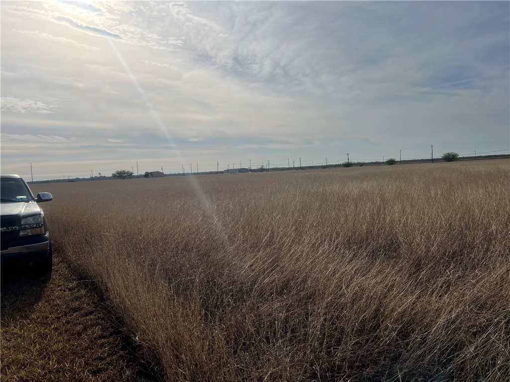 8051 Fm 1068 Mathis, TX 78368 - Photo 13 of 30 a view of a lake in middle of forest