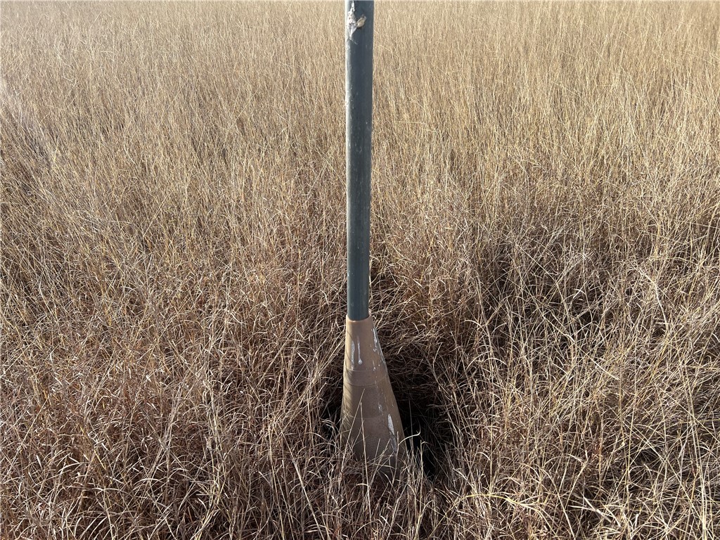 8051 Fm 1068 Mathis, TX 78368 - Photo 19 of 30