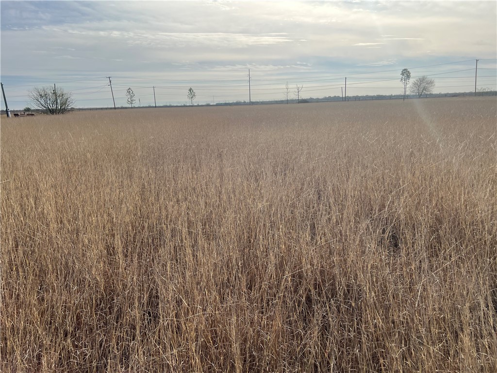 8051 Fm 1068 Mathis, TX 78368 - Photo 20 of 30 a view of a ocean view