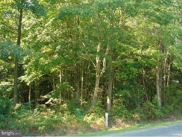 East Snake Road Laurel, DE 19956 - Photo 1 of 1