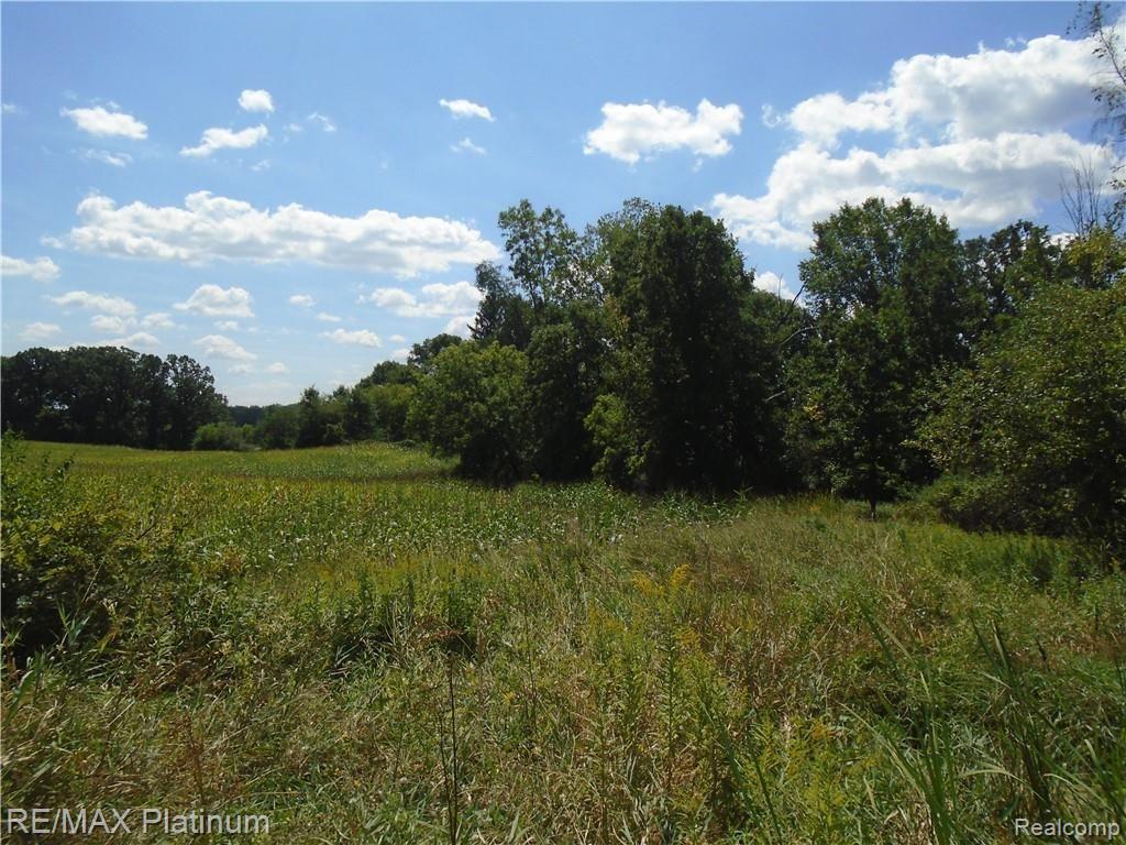 D 2 Germany Road Fenton, MI 48430 - Photo 25 of 27