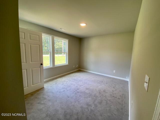 352 Swinson Road Dudley, NC 28333 - Photo 14 of 17 IMG_7555