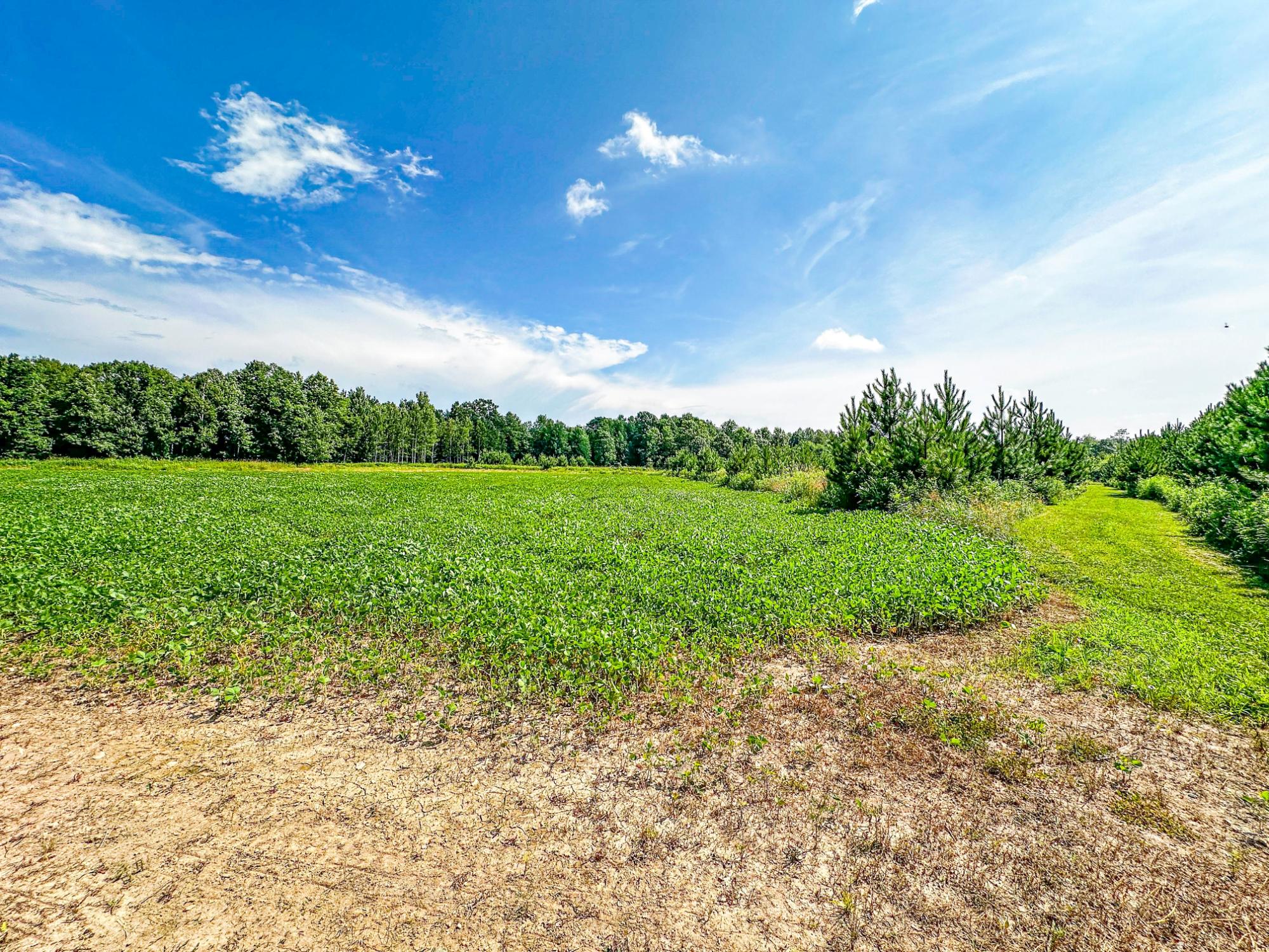N4102 Noll Road Kennan, WI 54537 - Photo 92 of 99 Gallery Image 92