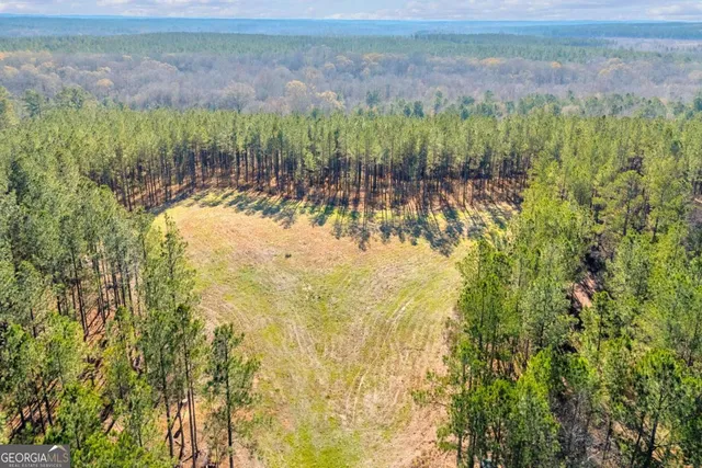 $474,900 | 0 Smith Road, Carlton, GA 30627