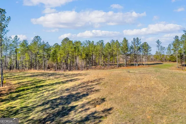 $474,900 | 0 Smith Road, Carlton, GA 30627