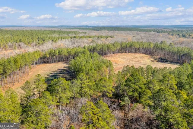 $474,900 | 0 Smith Road, Carlton, GA 30627