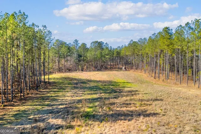 $474,900 | 0 Smith Road, Carlton, GA 30627