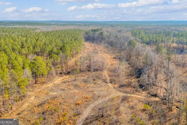 $474,900 | 0 Smith Road, Carlton, GA 30627