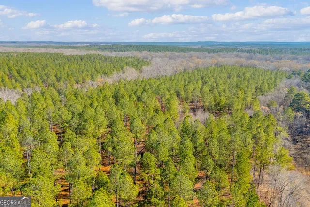 $474,900 | 0 Smith Road, Carlton, GA 30627