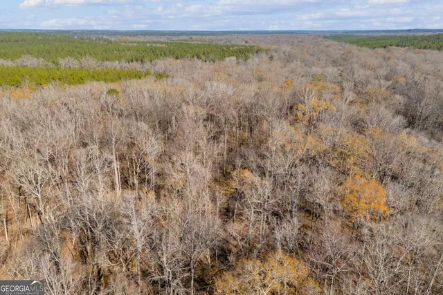 $474,900 | 0 Smith Road, Carlton, GA 30627