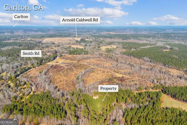 $474,900 | 0 Smith Road, Carlton, GA 30627