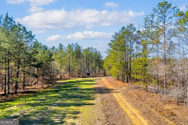 $474,900 | 0 Smith Road, Carlton, GA 30627