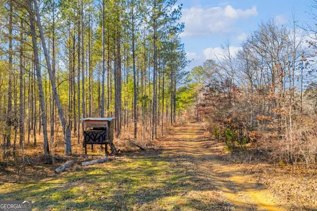 $474,900 | 0 Smith Road, Carlton, GA 30627