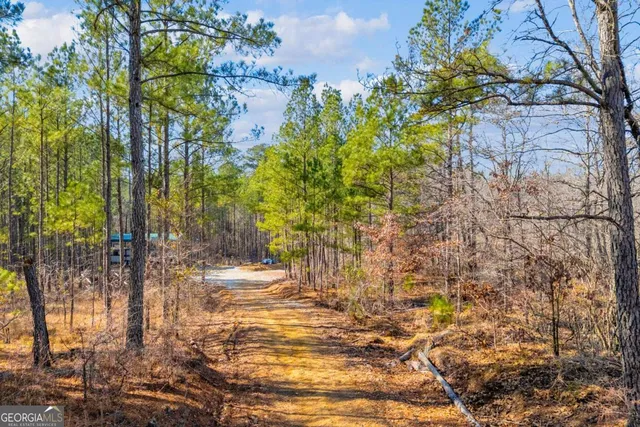 $474,900 | 0 Smith Road, Carlton, GA 30627
