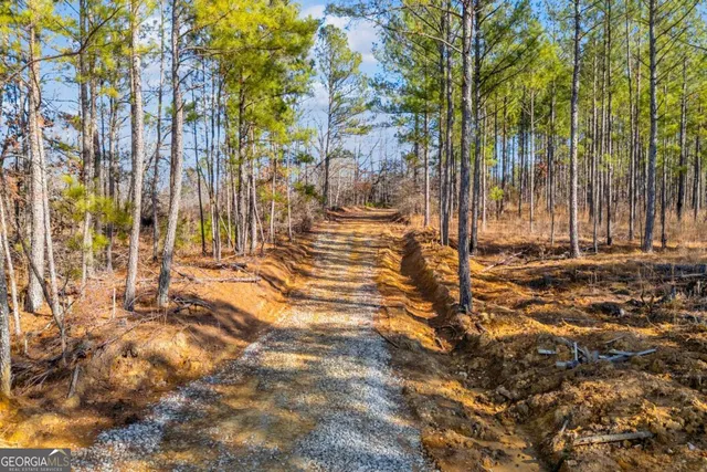 $474,900 | 0 Smith Road, Carlton, GA 30627