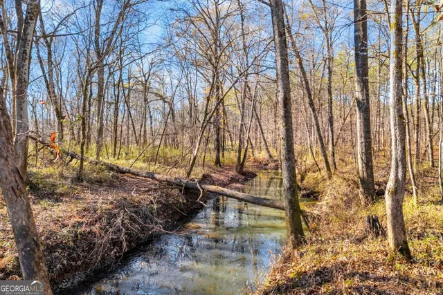 $474,900 | 0 Smith Road, Carlton, GA 30627