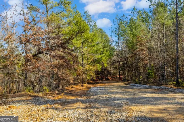 $474,900 | 0 Smith Road, Carlton, GA 30627