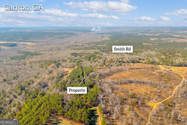 $474,900 | 0 Smith Road, Carlton, GA 30627