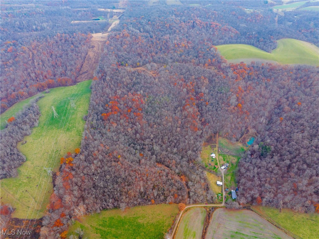 1239 Township Road Dresden, OH 43821 - Photo 42 of 50 Aerial overview of property's location