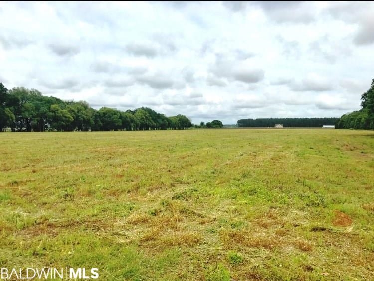 0 Engel Road Summerdale, AL 36580 - Photo 1 of 2