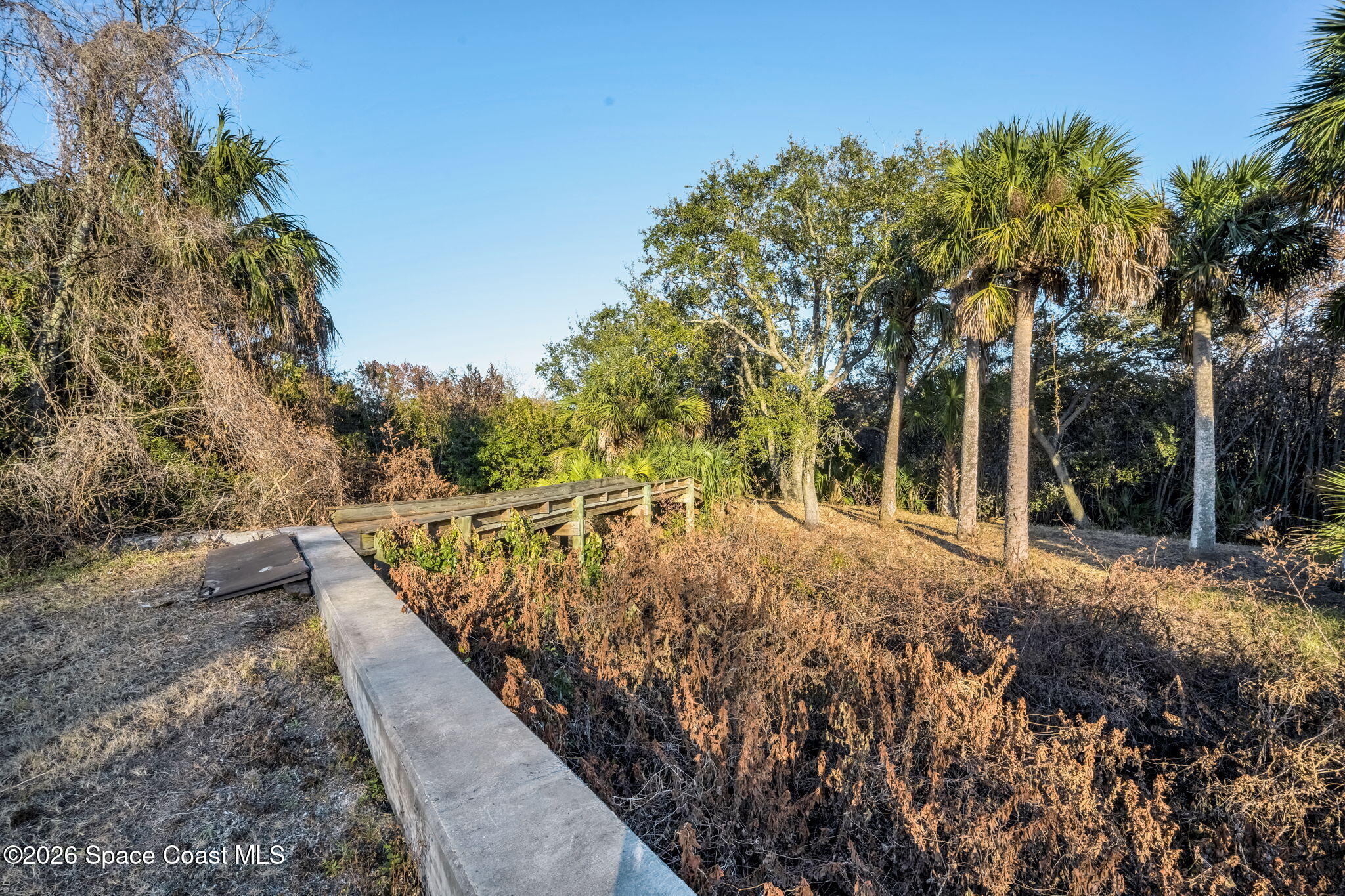 5454 Riveredge Drive Titusville, FL 32780 - Photo 55 of 70 a view of a backyard with plants