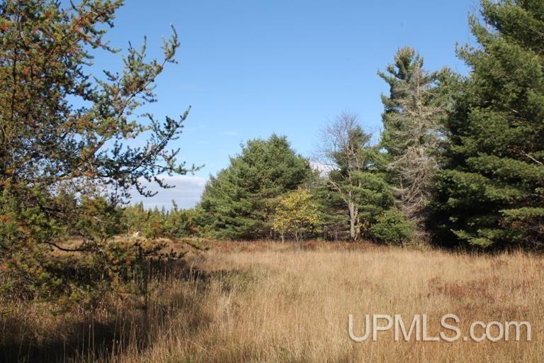 Tbd Missouri Rd - Co Rd 565, Unit LAT 46 31633 LON 87 5822 Gwinn, MI 49841 - Photo 1 of 30