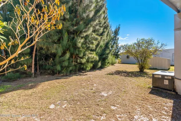 a view of a backyard with plants and trees