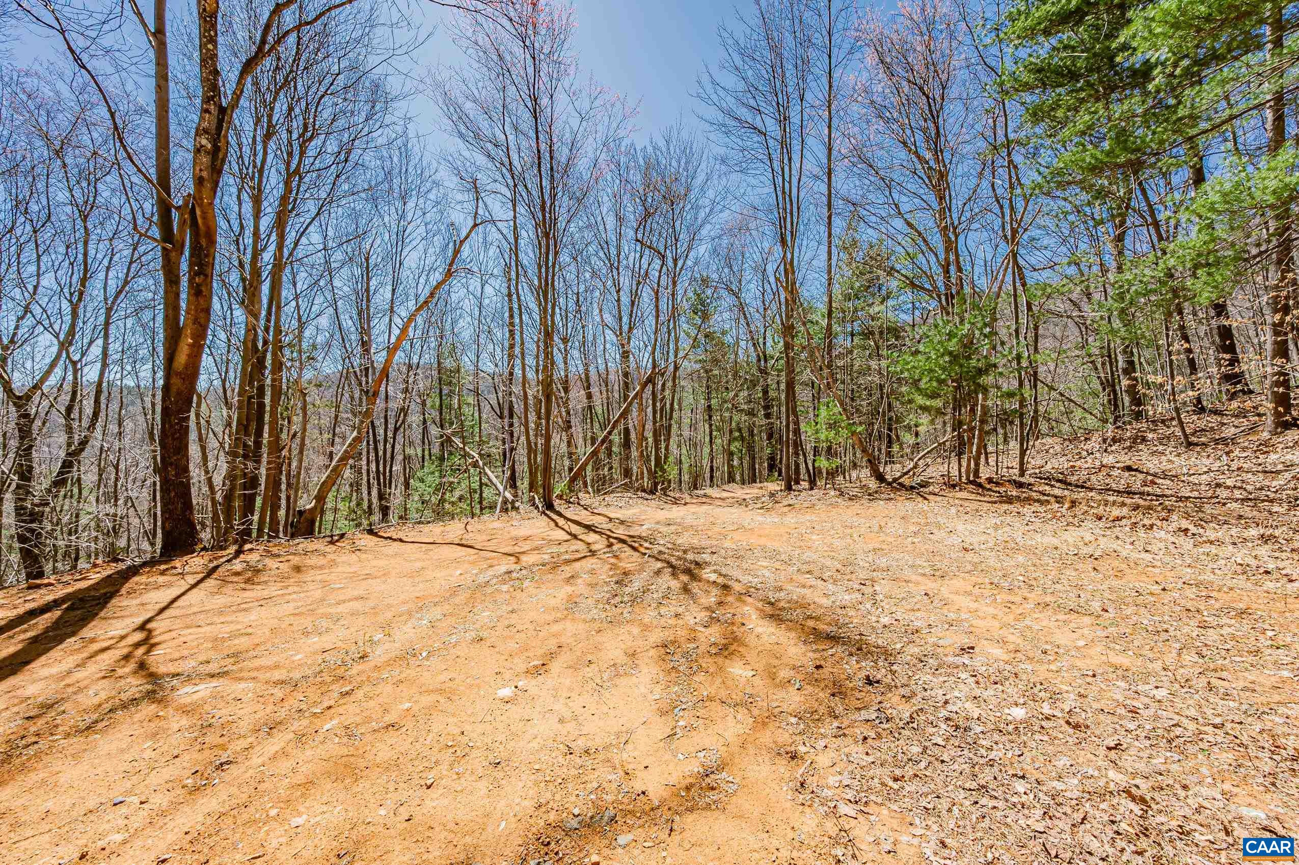 Haneytown Road Stanardsville, VA 22973 - Photo 12 of 37