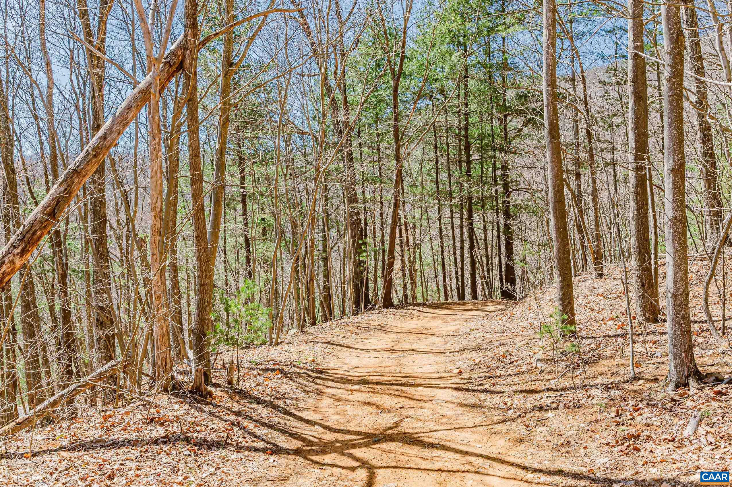 Haneytown Road Stanardsville, VA 22973 - Photo 20 of 37 a view of a backyard of the house