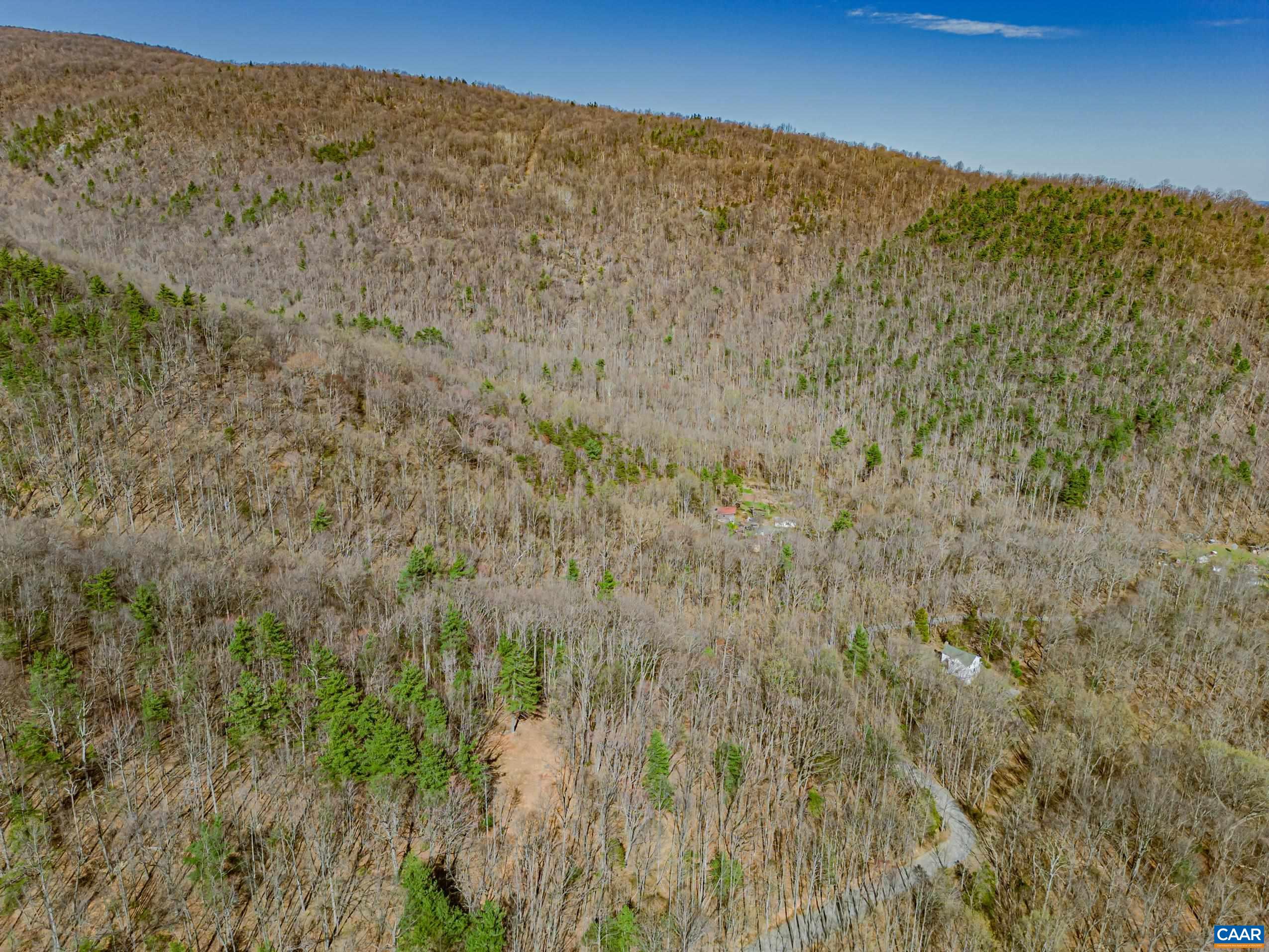 Haneytown Road Stanardsville, VA 22973 - Photo 26 of 37 a view of a dry yard