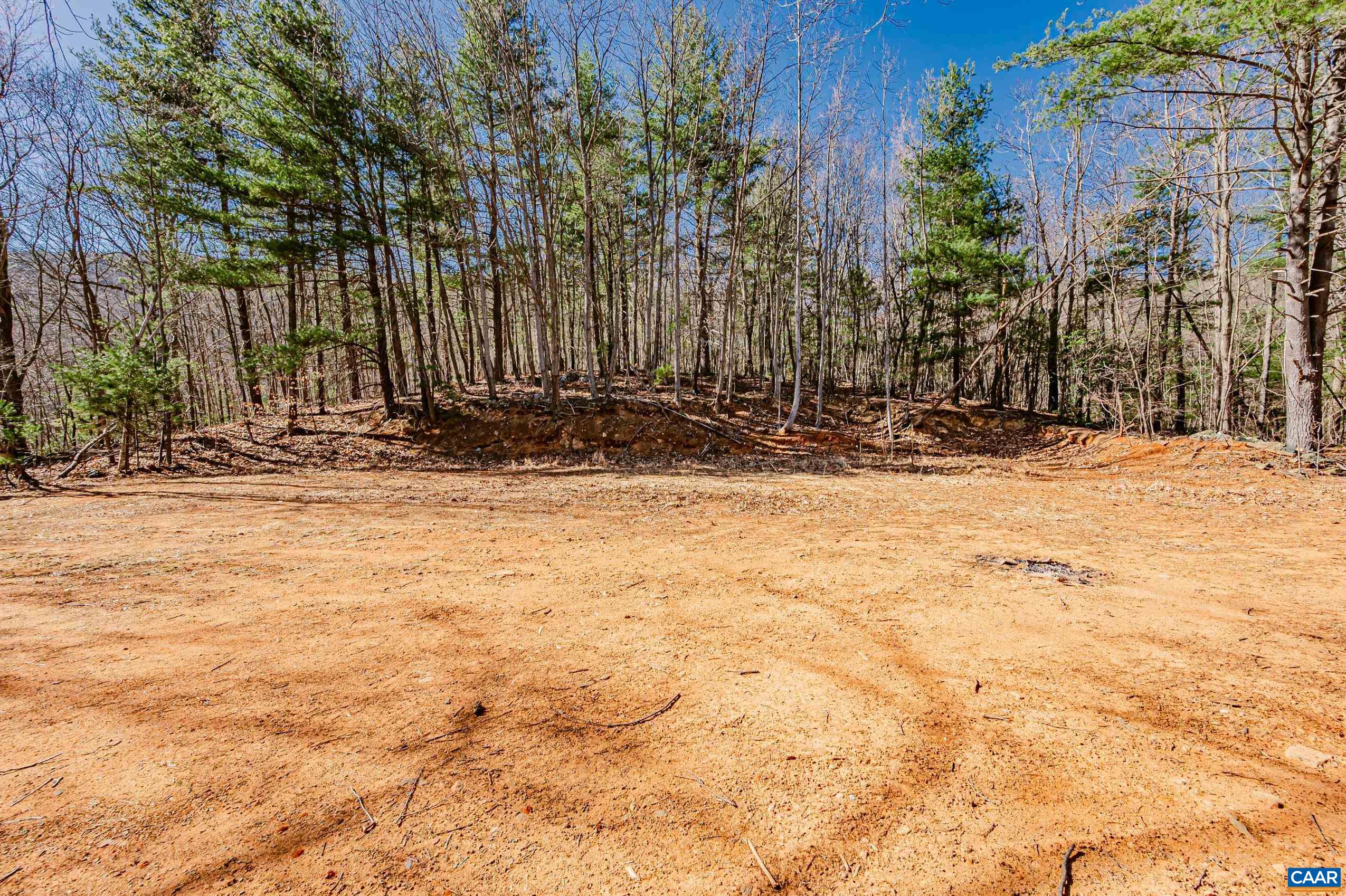 Haneytown Road Stanardsville, VA 22973 - Photo 6 of 37 a view of a backyard of the house