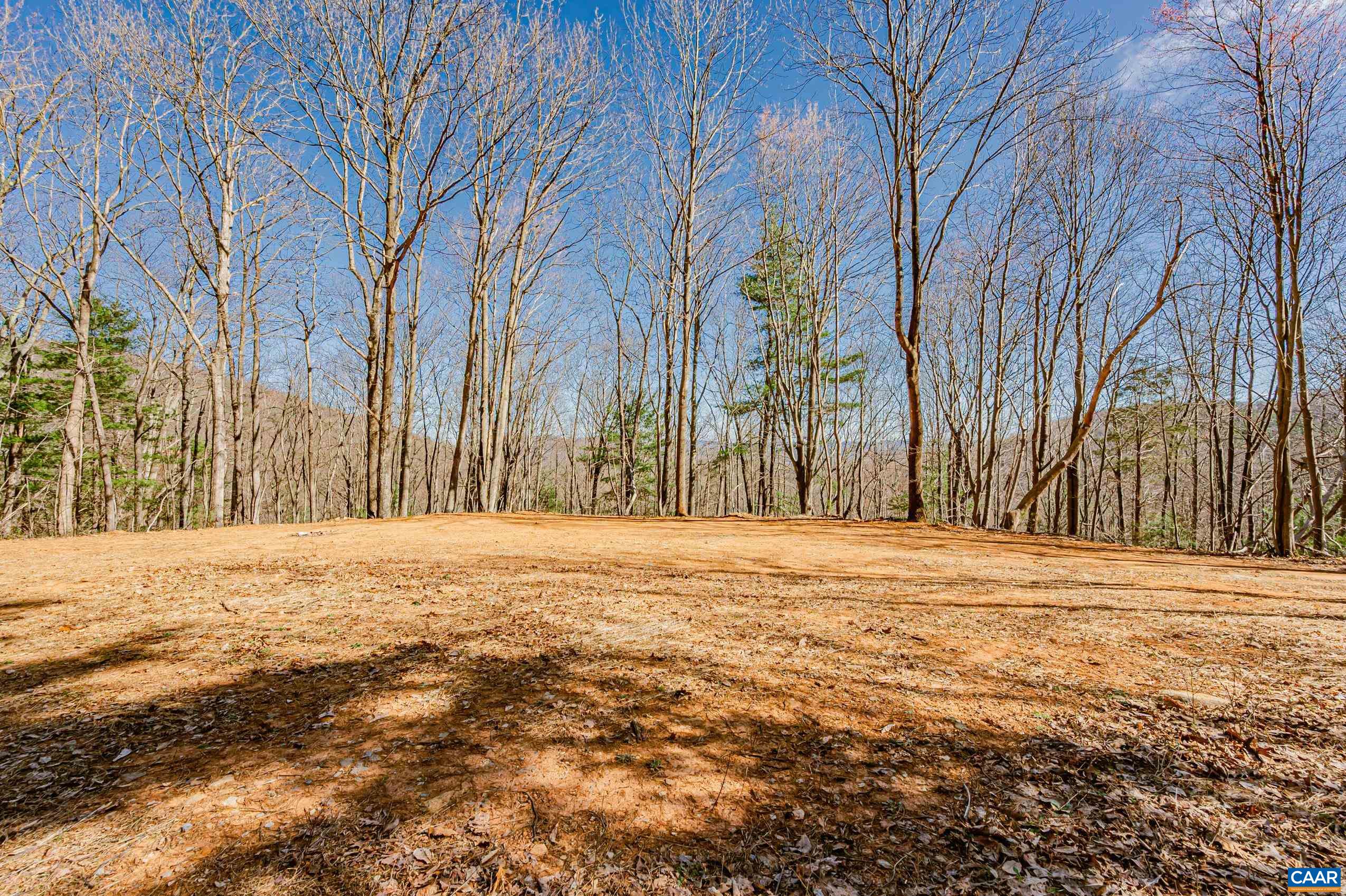 Haneytown Road Stanardsville, VA 22973 - Photo 8 of 37