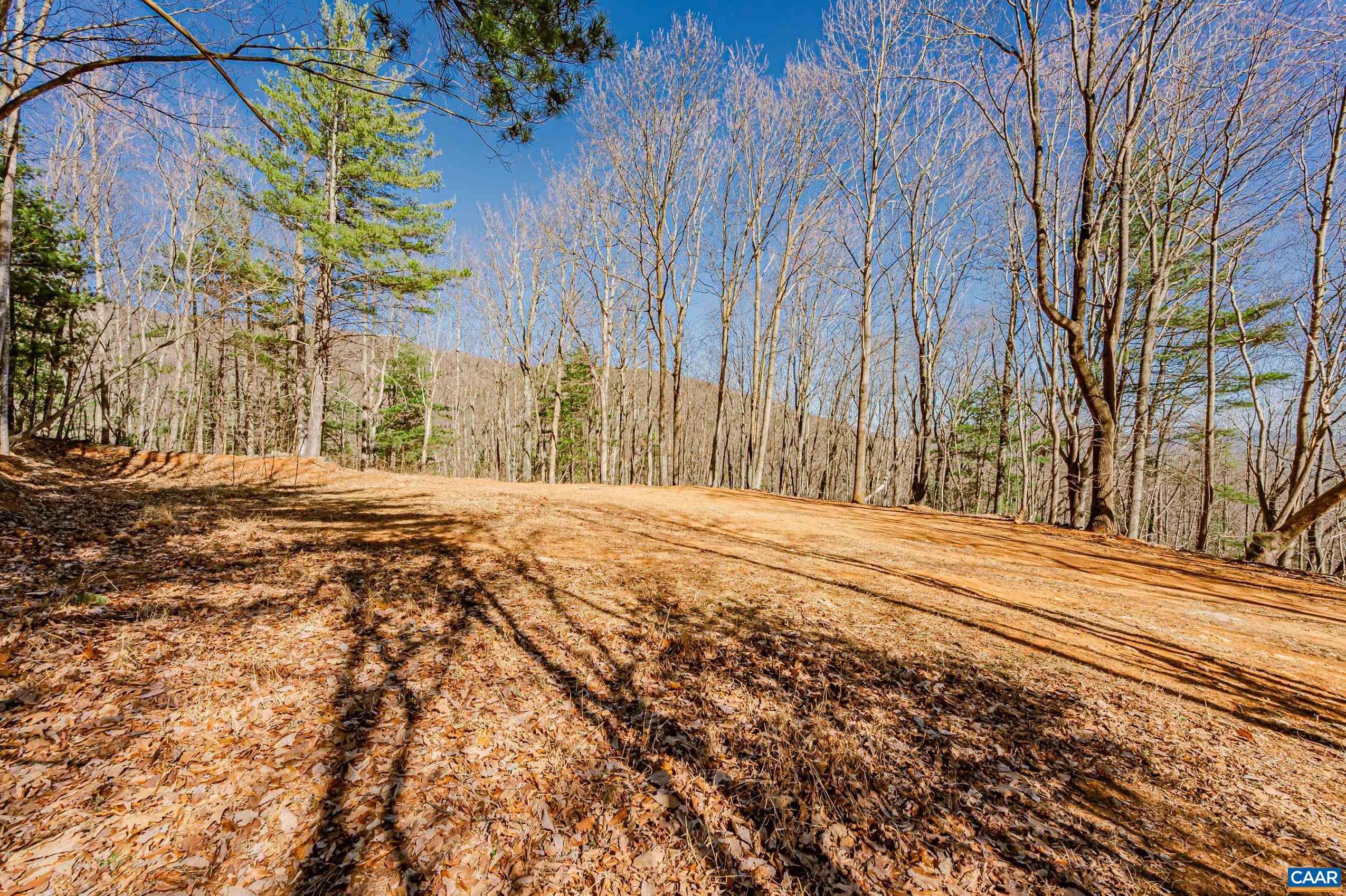 Haneytown Road Stanardsville, VA 22973 - Photo 9 of 37 a view of road with large trees