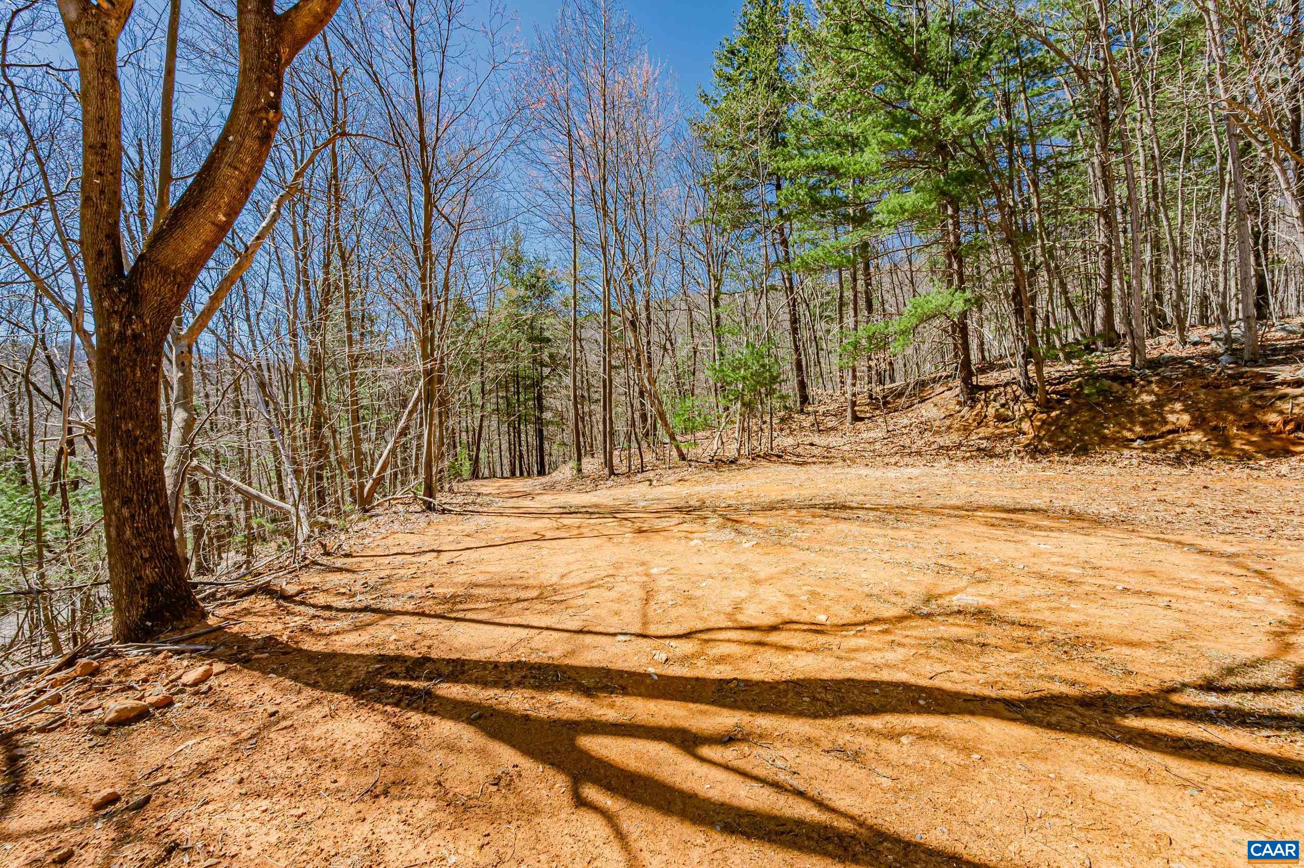 Haneytown Road Stanardsville, VA 22973 - Photo 10 of 37 a view of a yard with trees