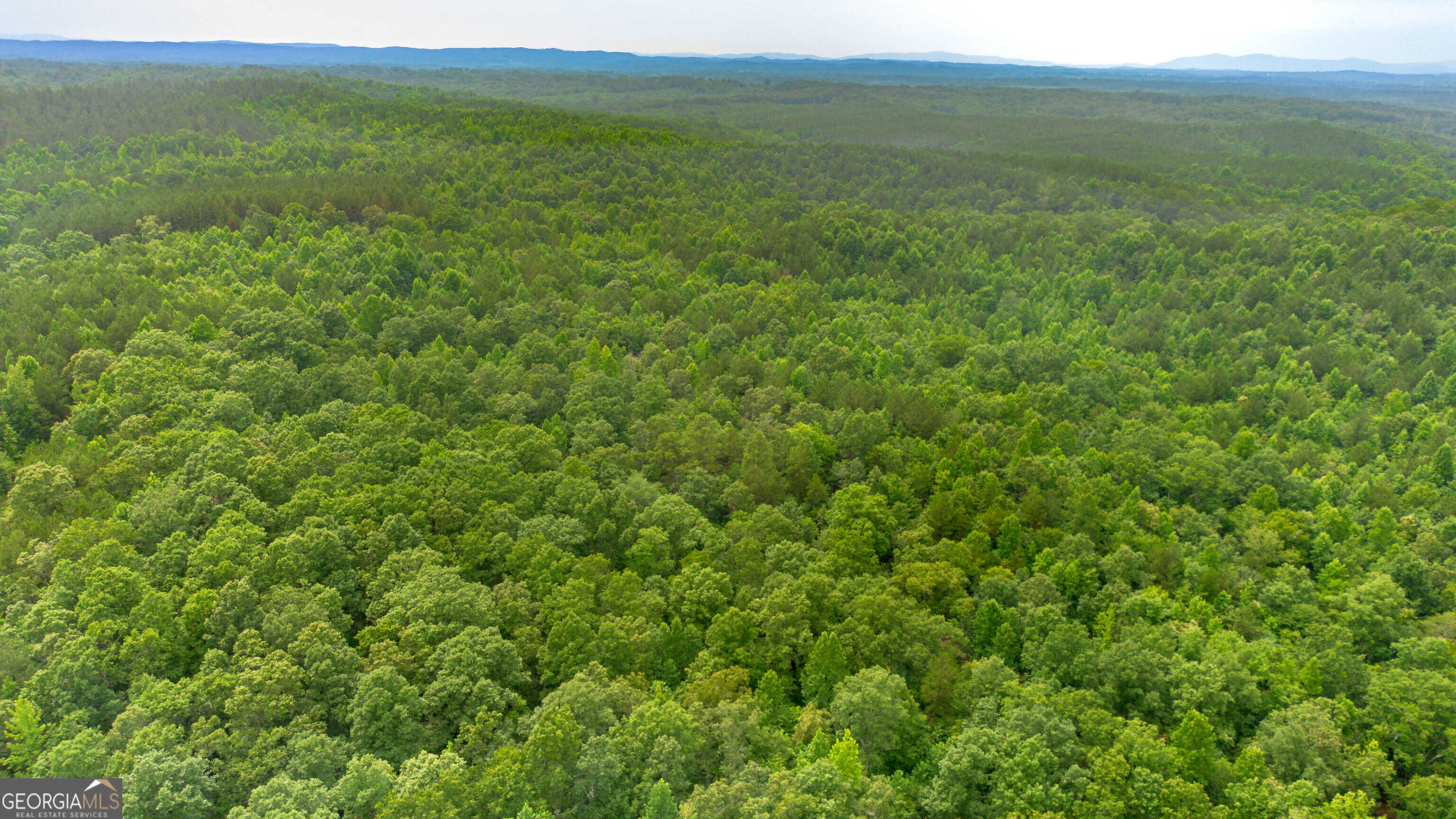 0 Vineyard Fruithurst, AL 36262 - Photo 14 of 21
