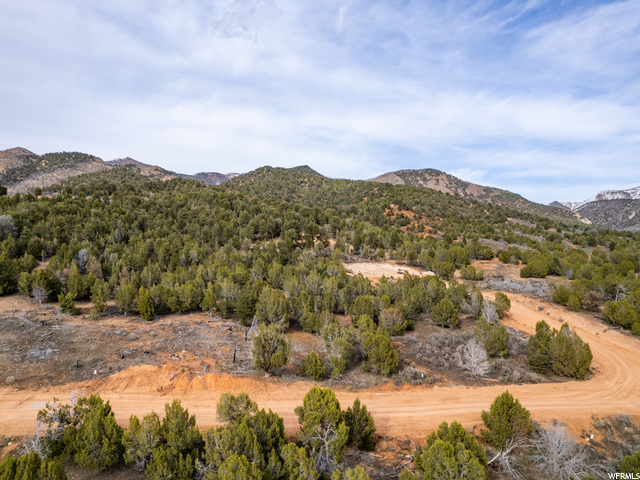 5247 Cougar Run, Unit 44 Fairview, UT 84629 - Photo 14 of 23