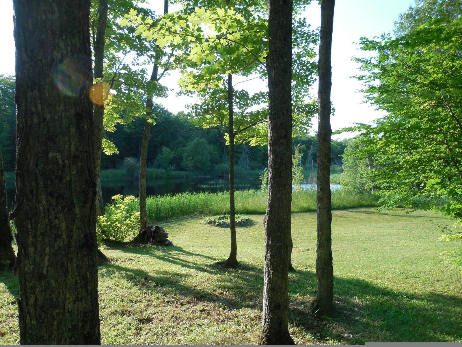 982 West 12 Mile Road Dafter, MI 49724 - Photo 12 of 47 Gallery Image 12