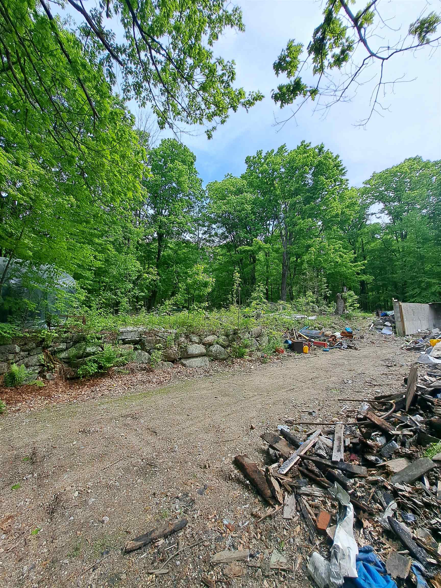 81 Hart Farm Road Deering, NH 03244 - Photo 11 of 17