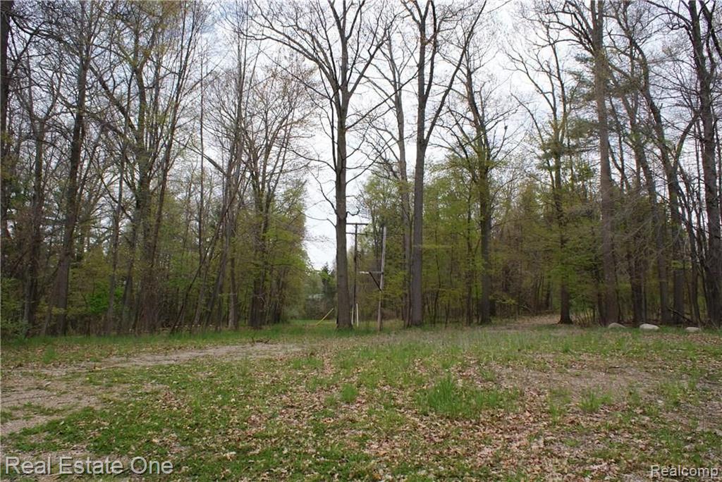 2 McKeen Lake Road Columbiaville, MI 48421 - Photo 35 of 51
